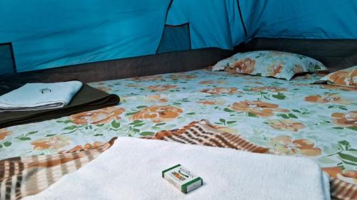 Kamalapur Resort | Leo Comforts River Side Resort
