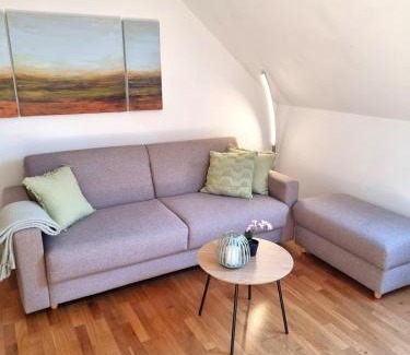 Traunstein Apartment | Leo11