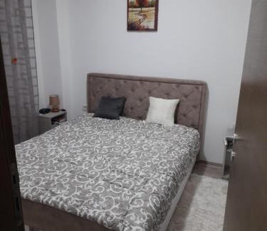 Jagodina Apartment | leoben