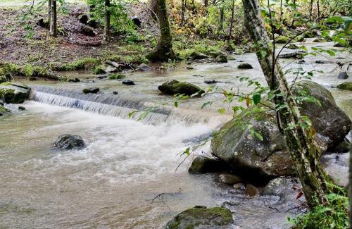 Gatlinburg - Pigeon Forge House | Leprechaun Island