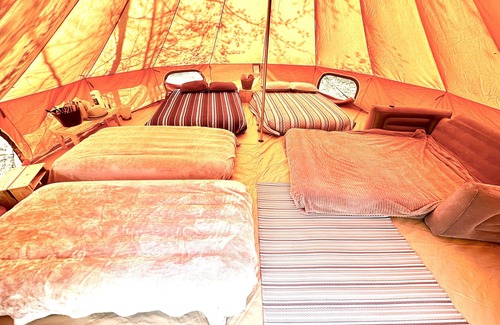 Tallahassee Other | Leroys Lounge XL Bell tent sleep 8 FARM therapy mini horse, cows, goats & chicks