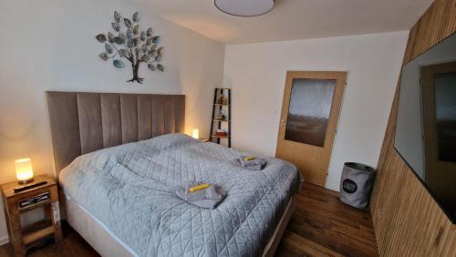 Novy Smokovec Apartment | Lesíček