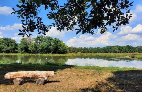 Brinon-sur-Sauldre Other | Les 5 Étangs