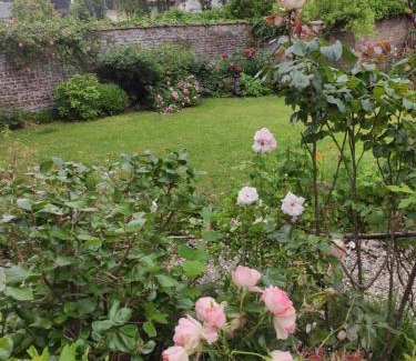 Le Bourg-Dun Bed & Breakfast | Les agapanthes