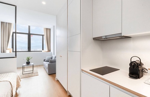 Secteur 2 Apartment | Les Appartements de Grenoble