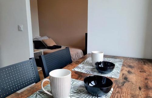 Marmande Apartment | Les Apparts de Marmande - Petit Cocon en ville
