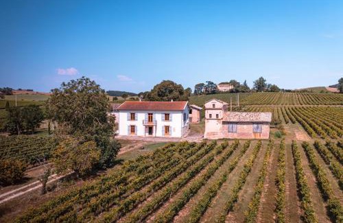 Lisle-sur-Tarn House | Les Blancs - Au coeur des vignes - Piscine