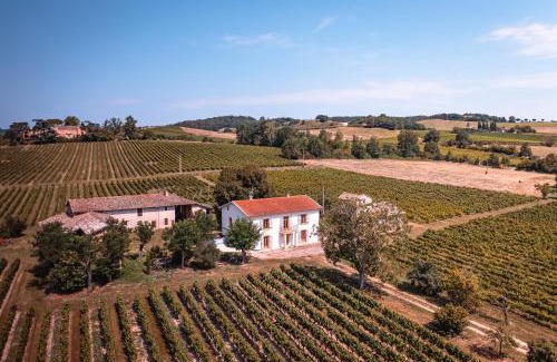 Lisle-sur-Tarn House | Les Blancs - Au coeur des vignes - Piscine