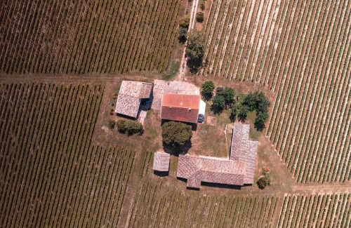 Lisle-sur-Tarn House | Les Blancs - Au coeur des vignes - Piscine