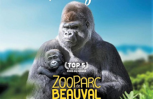 Fontguenand House | Les Bruyères de Jeanne et René Zoo de Beauval à 20min,Châteaux TOUT INCLUS