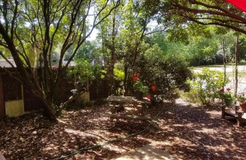 Le Canon Apartment | les cabanes