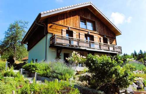 Viuz-en-Sallaz House | Les Chalets de Ludran