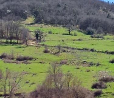 Grenier-Montgon Bed & Breakfast | Les Chambres de la Violette