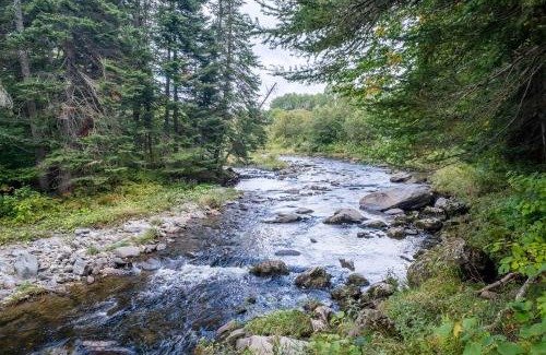 Montmagny Regional County Municipality Ski Chalet | Les Domes de la Riviere Alick SPA et Riviere