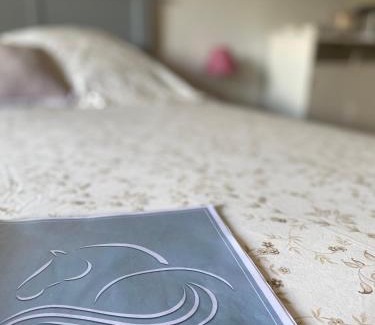 Saint-Martin-de-Seignanx Bed & Breakfast | Les Ecuries du SEQUE