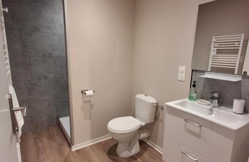 Saint-Amand-les-Eaux Apartment | Les Gîtes du Moulin des Loups studios 3 et 6
