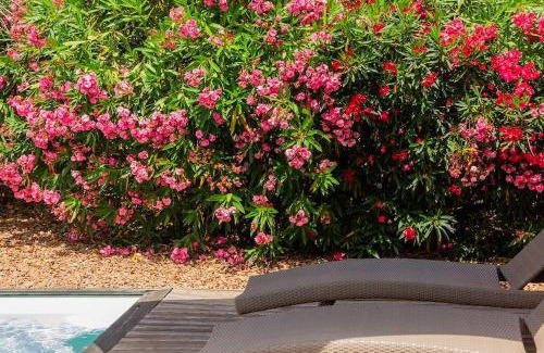 Figari Villa | Les Hameaux De Buttaciolo