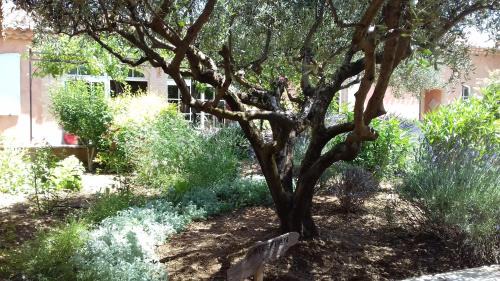 Les Salles-sur-Verdon Bed & Breakfast | Les Jardins de l'Ermitage