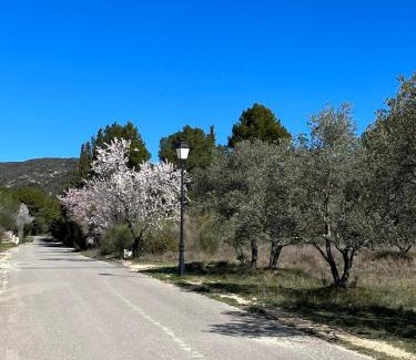 Puyvert Villa | Les jardins de la Gravière à 5 mn de Lourmarin avec piscine privée