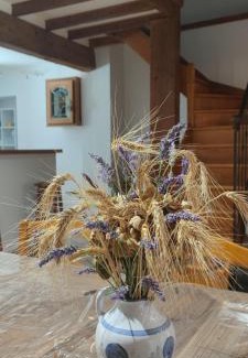 Sainte-Eulalie House | Les jardins du Canal