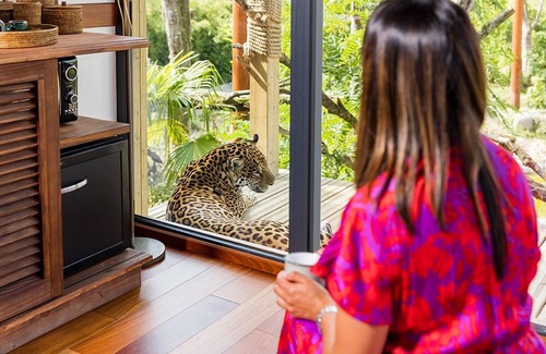 Crecy-en-Brie Hotel | Les Lodges - Parrot World