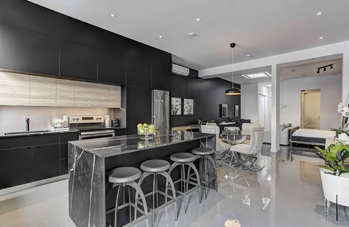 Pointe-Saint-Charles Apartment | Les Lofts du Centre