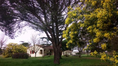 Brens House | Les Mimosas