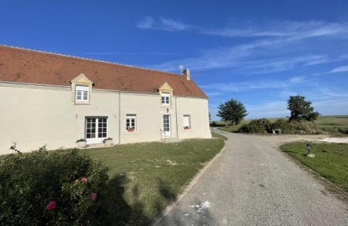 Gracay House | Les mimosas