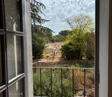 Rouy House | Les Musardises