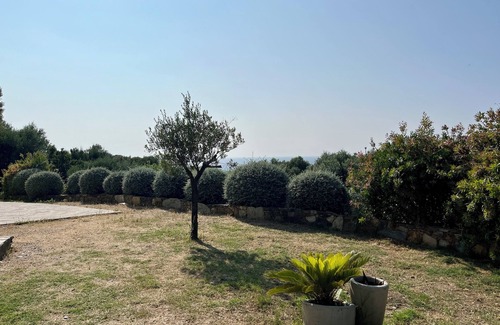 Centuri Apartment | Les Oliviers
