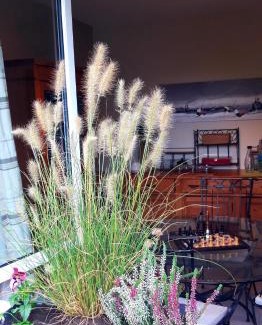 Estreelles Bed & Breakfast | Les Ondines