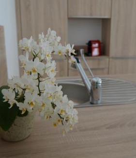 Saint-Xandre House | Les palmiers - Vacation Home