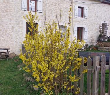 Sainte-Therence House | Les Papillons
