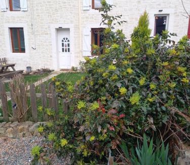 Sainte-Therence House | Les Papillons