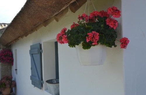 Bouin Bed & Breakfast | Les Pensions du Joslin