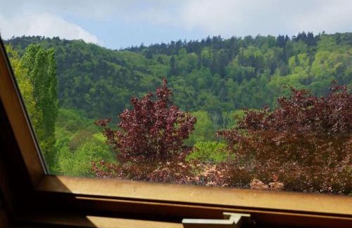 Cleebourg House | Les Petits Vignerons