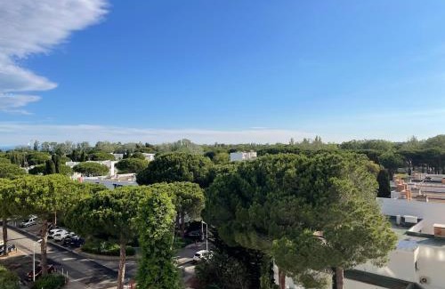 La Grande-Motte Apartment | Les pins du Capri - Meublé de tourisme 3 étoiles