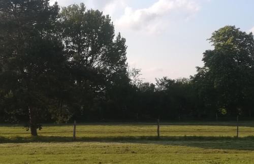Saint-Romain-sur-Cher House | Les prés du petit Morlu - proche Beauval