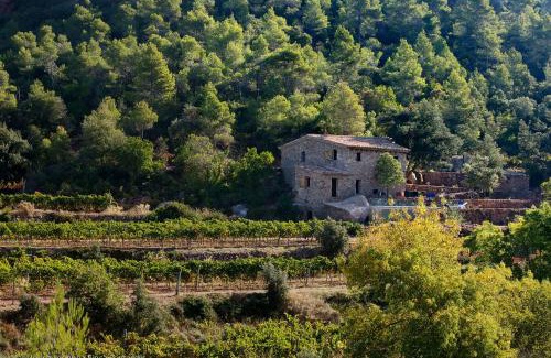 Falset House | Les Quimeres