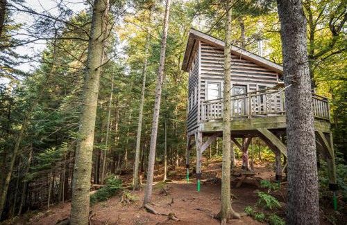 Saint-Faustin-Lac-Carre House | Les Refuges Perchés Mont-Tremblant