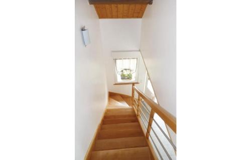 Roisel House | Les Renoncules Des Champs