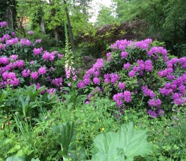 Saint-Symphorien-sur-Coise Bed & Breakfast | Les Sittelles de Bamboche