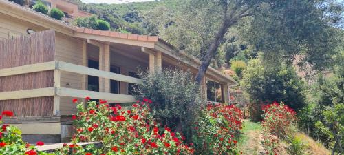 Villanova Ski Chalet | Les Terrasses de Scaglioli