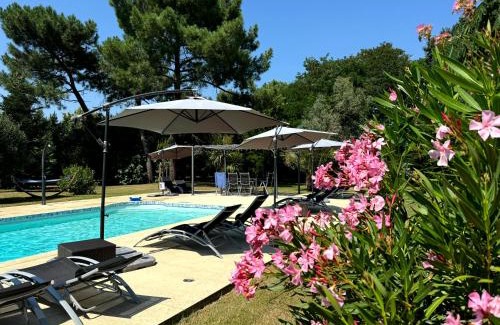 Caumont-sur-Garonne Bed & Breakfast | Les Terrasses des Mimosas