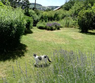 Treignes House | Les Tiennes