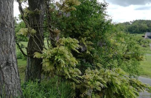 Treignes House | Les Tiennes