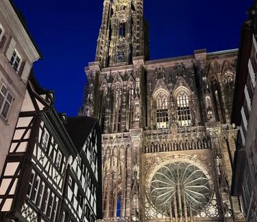 City-Centre - Petite France House | Les toits de Gutenberg