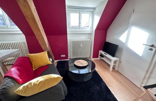 City-Centre - Petite France House | Les toits de Gutenberg
