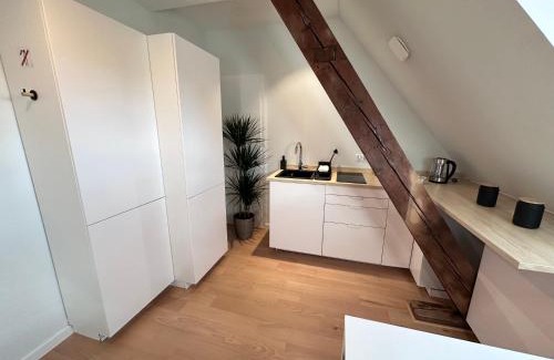 City-Centre - Petite France House | Les toits de Gutenberg