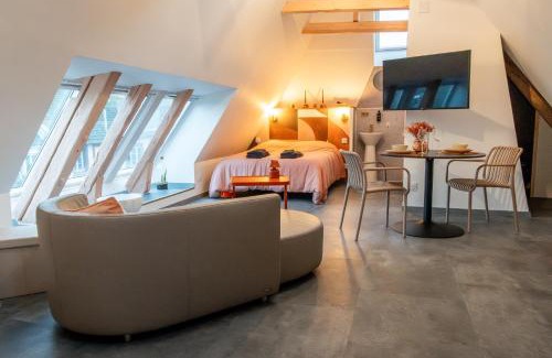 Belfort Apartment | Les toits de la Citadelle